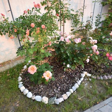 Apartmaji Lejardin Daire Škofljica Dış mekan fotoğraf