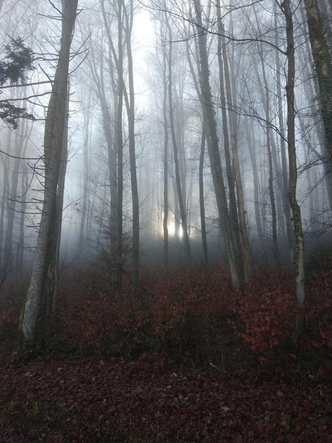 Apartmaji Lejardin Daire Škofljica Dış mekan fotoğraf