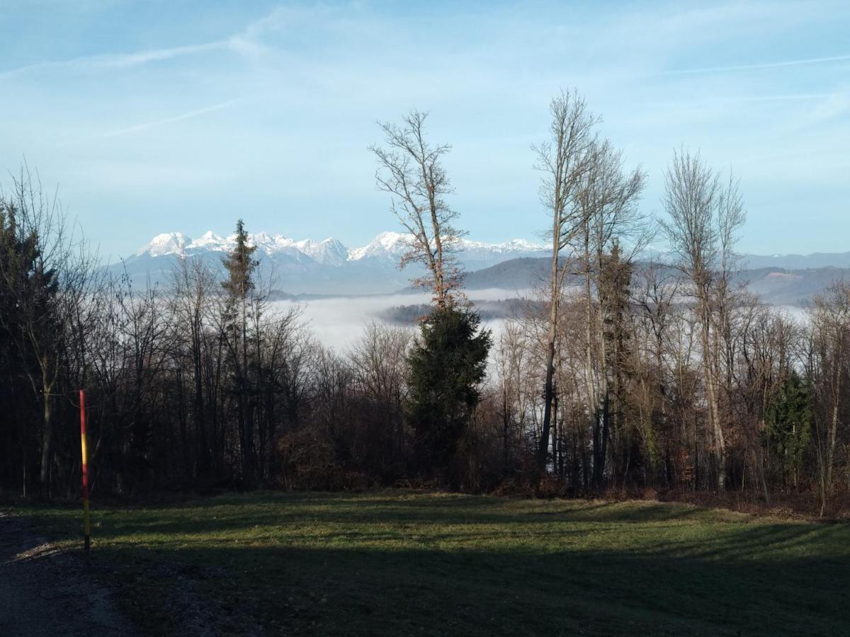 Apartmaji Lejardin Daire Škofljica Dış mekan fotoğraf